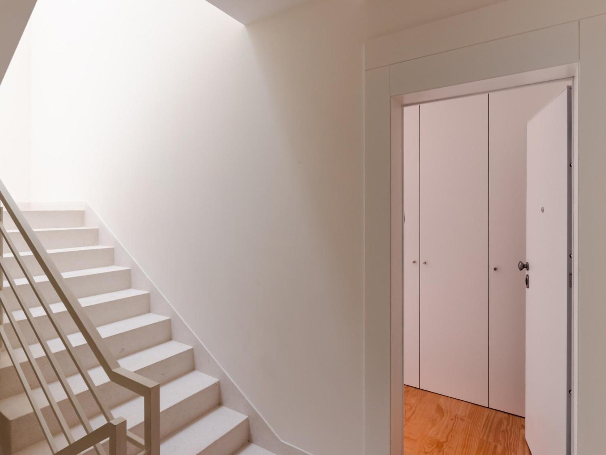 Pet-friendly In Apartamento